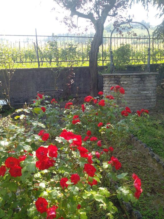 Casa Badinot Diano dʼAlba Quarto foto